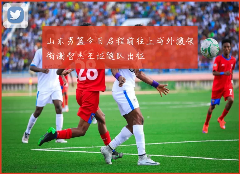 山东男篮今日启程前往上海外援领衔谢智杰王证随队出征