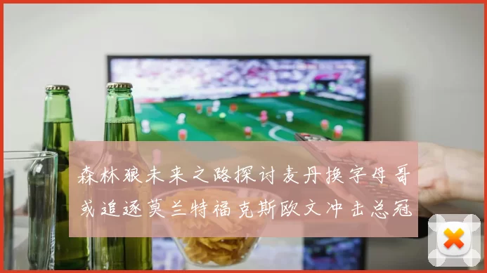 森林狼未来之路探讨麦丹换字母哥或追逐莫兰特福克斯欧文冲击总冠军